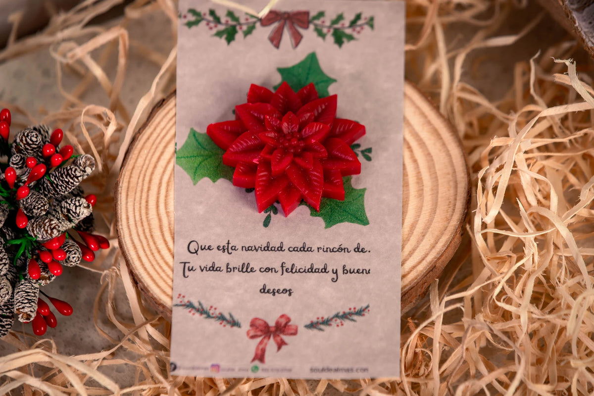 Poinsettia Glow