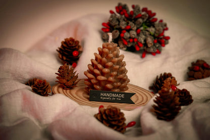 Snowy Pinecone