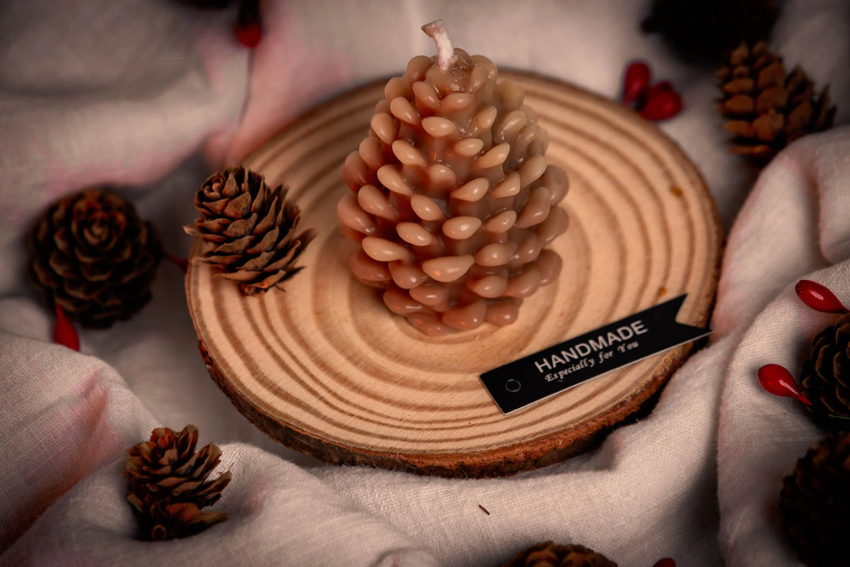 Snowy Pinecone