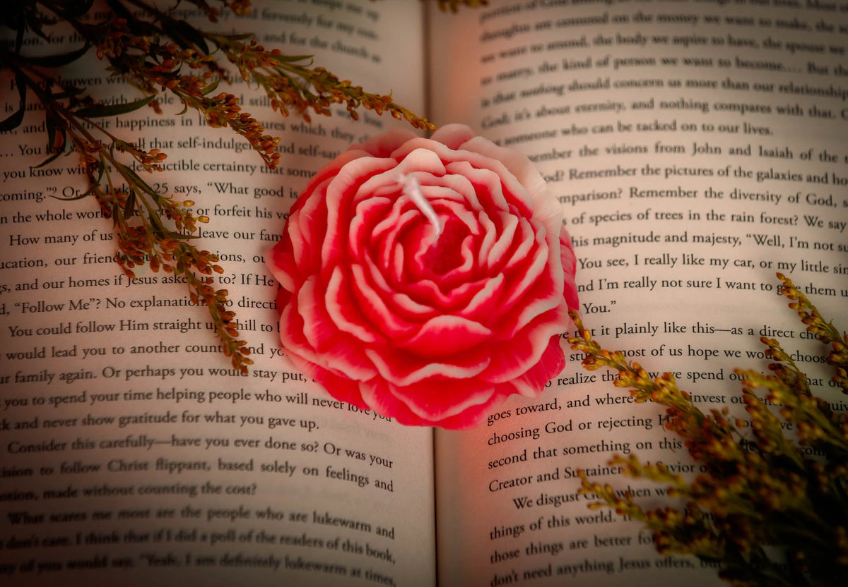 Peony Bloom