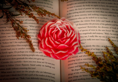 Peony Bloom