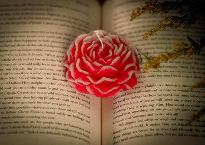 Peony Bloom