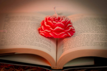 Peony Bloom